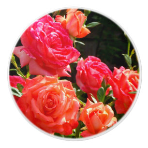 Bouton De Porte En Céramique Elégant corail rouge orange rose jardin rose