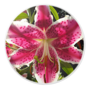 Bouton De Porte En Céramique Élégante fleur rose tropicale classique lys
