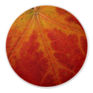 Bouton De Porte En Céramique Feuille d'érable rouge Abstraite Automne Photograp