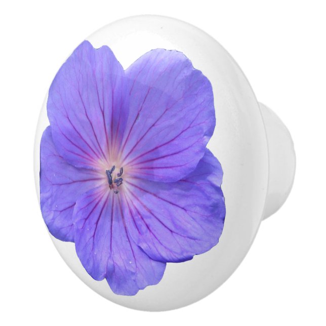 Bouton De Porte En Céramique Fleur bleue botanique de géranium sur toute (Droite)