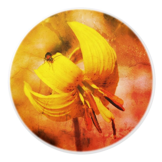 Bouton De Porte En Céramique Fleur Lily De Truite Sauvage Et Ami D'Insecte (Devant)