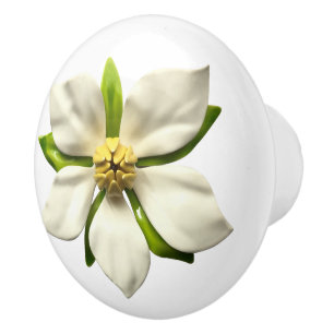 Bouton De Porte En Céramique Fleur Mariage en fleurs de Magnolia tropicale exot