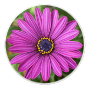 Bouton De Porte En Céramique Fleur violette parfaite