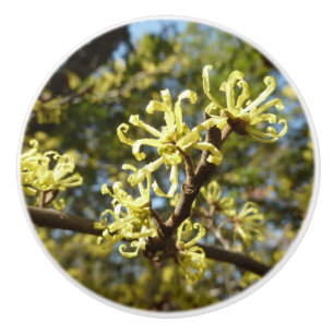 Bouton De Porte En Céramique Fleurs à puces de sorcière