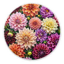 Fleurs de dahlia colorées