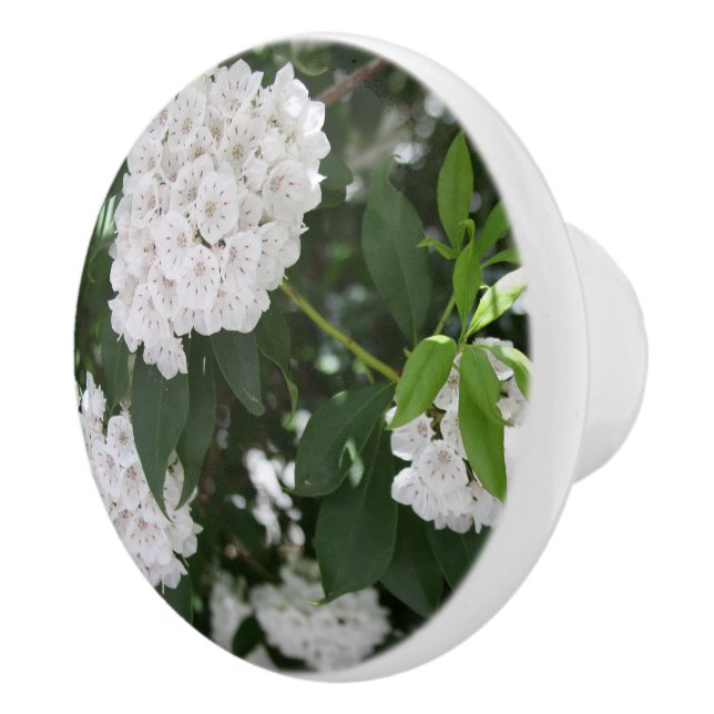Bouton De Porte En Céramique Fleurs de laurier blanc (Droite)
