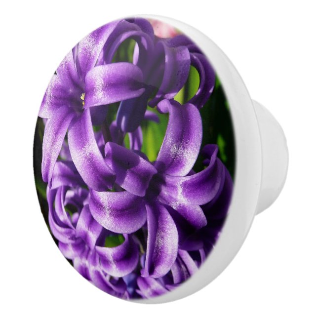 Bouton De Porte En Céramique Flore de printemps Blue Hyacinth II (Droite)