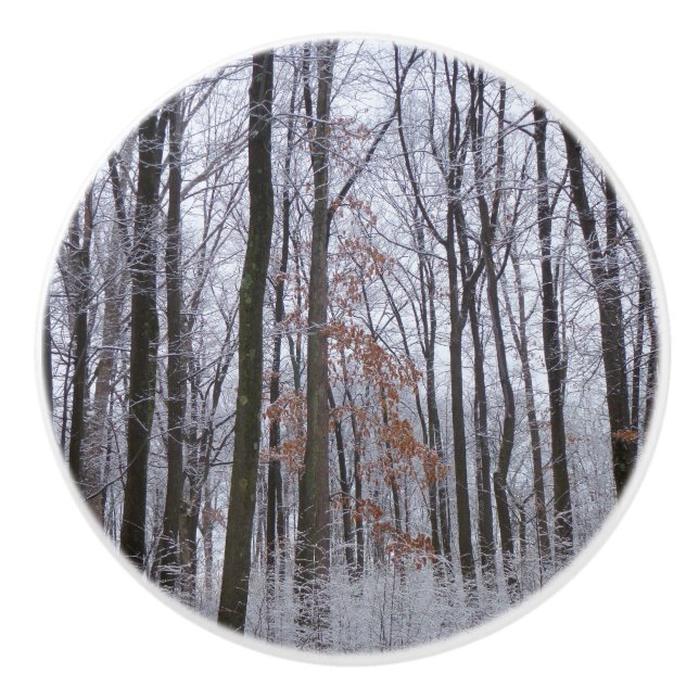 Bouton De Porte En Céramique Forêt huppée neige paysage d'hiver Photographie (Devant)