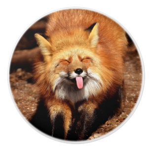 Bouton De Porte En Céramique Fox Sticking It's Tongue Out