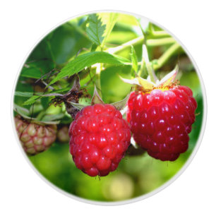 Bouton De Porte En Céramique Framboise