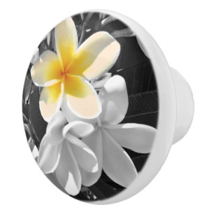 Bouton De Porte En Céramique Frangipanis Blanc Noir Avec Un Frangipani Jaune