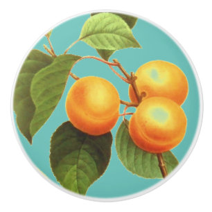 Bouton De Porte En Céramique Fruit de pêche