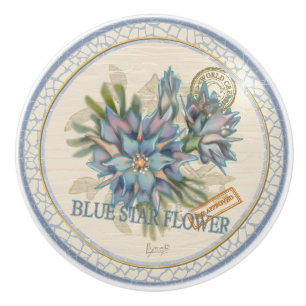 Bouton De Porte En Céramique G Bureau de création Fleur bleue