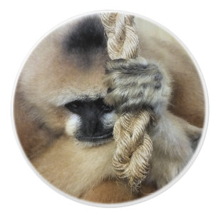 BOUTON DE PORTE EN CÉRAMIQUE GIBBON MONKEY