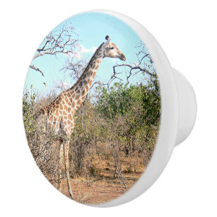 BOUTON DE PORTE EN CÉRAMIQUE GIRAFFE EN HABITAT NATUREL (BOTSWANA)
