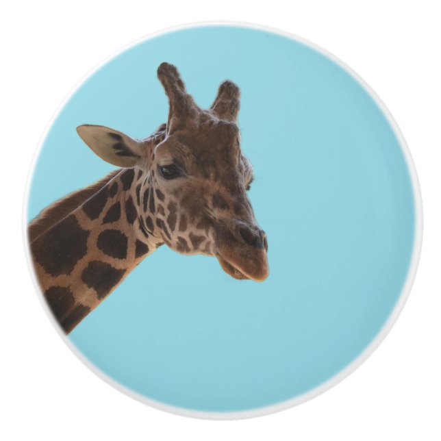 Bouton De Porte En Céramique Giraffe pull knob (Devant)