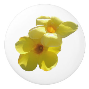 Bouton De Porte En Céramique Golden Trumpet