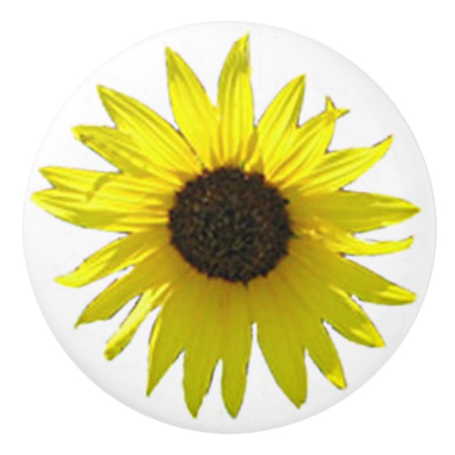 Bouton De Porte En Céramique Grande fleur simple de tournesol (Devant)