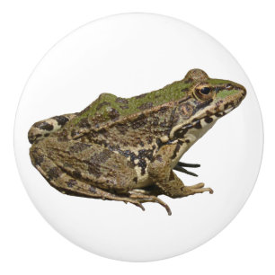 Bouton De Porte En Céramique Grenouille