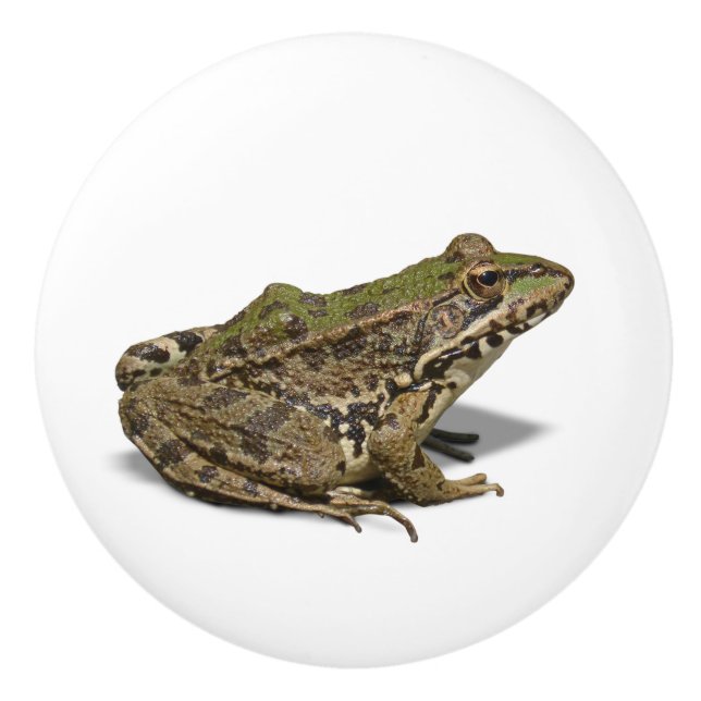 Bouton De Porte En Céramique Grenouille (Devant)
