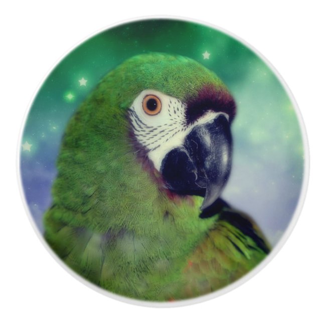 Bouton De Porte En Céramique Gros Parrot Macaw (Devant)