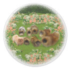 Groupe Pekingese Heureux