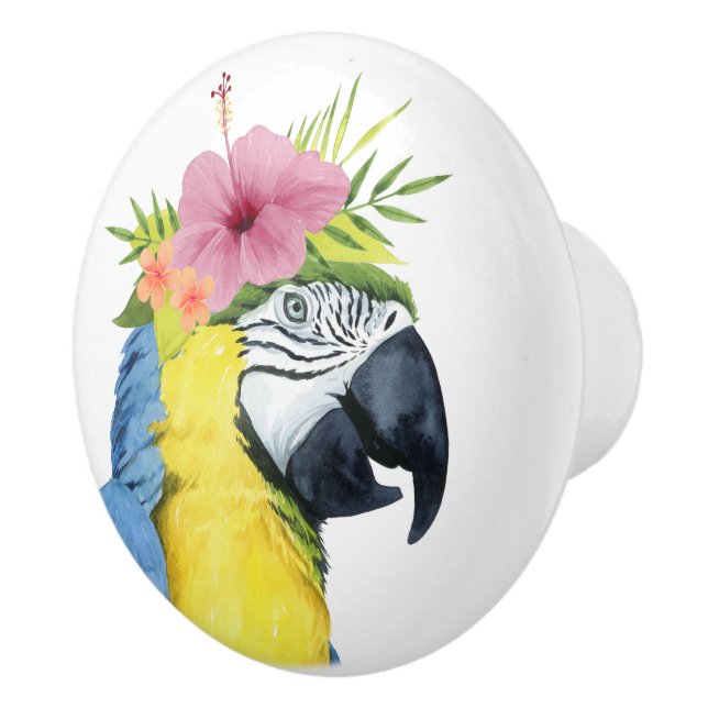Bouton De Porte En Céramique Halo tropical - Perroquet (Droite)