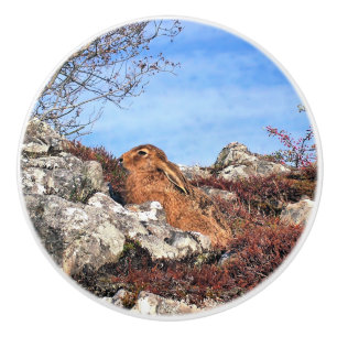 BOUTON DE PORTE EN CÉRAMIQUE HARE