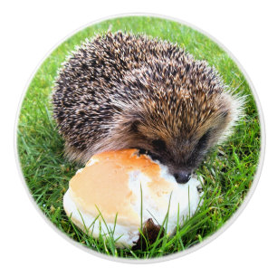 BOUTON DE PORTE EN CÉRAMIQUE HÉDGEHOG