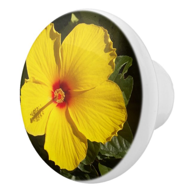 Bouton De Porte En Céramique Hibiscus jaune Fleur Ceramic Knob (Droite)