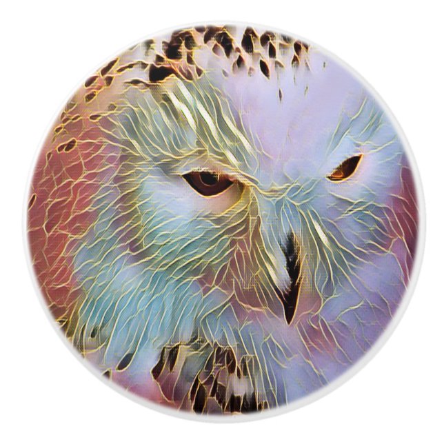 BOUTON DE PORTE EN CÉRAMIQUE HIBOU (Devant)