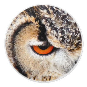 BOUTON DE PORTE EN CÉRAMIQUE HIBOU