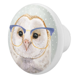 Bouton De Porte En Céramique Hibou sage Quatre-Eyed du forestier  