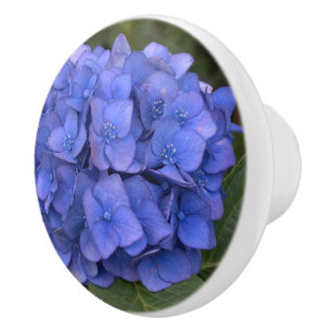 Bouton De Porte En Céramique Hydrangea Bleu Laurier Floral