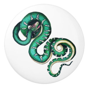 Bouton De Porte En Céramique Illustration de serpent vintage reptile vert
