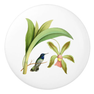 Bouton De Porte En Céramique Illustration dirigée violette de cru de colibri