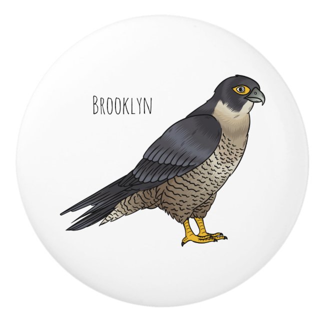Bouton De Porte En Céramique Illustration d'oiseau de faucon pèlerin (Devant)