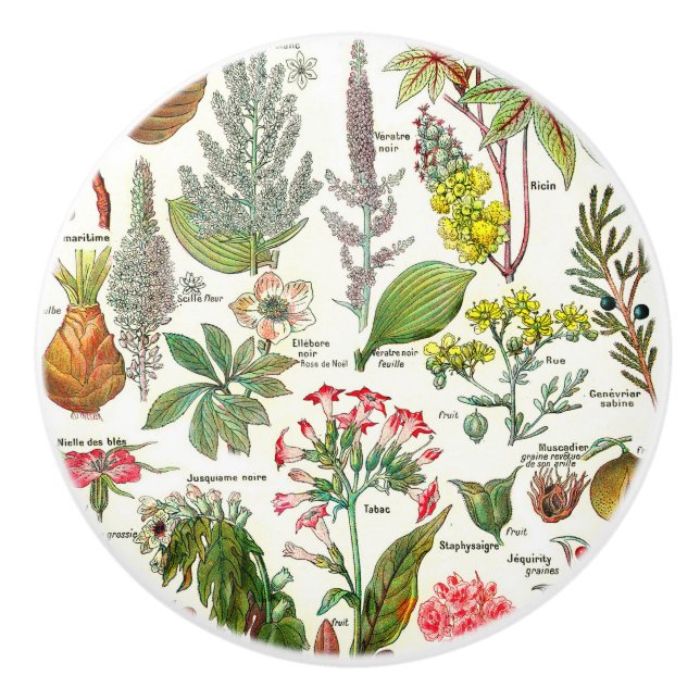 Bouton De Porte En Céramique Illustrations botaniques (Devant)