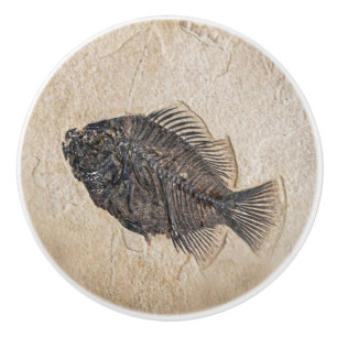 Bouton De Porte En Céramique Image de la pierre de sable fossile de poisson