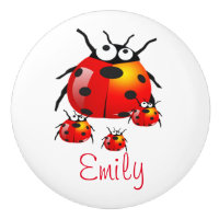 insecte de dame avec des coccinelles de bébé