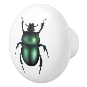 Bouton De Porte En Céramique Insecte drôle