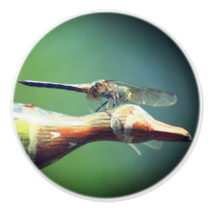 Bouton De Porte En Céramique Insecte du pilote de libellules