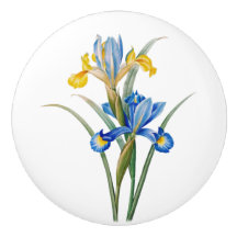 Iris d'Espagne par Pierre-Joseph Redouté