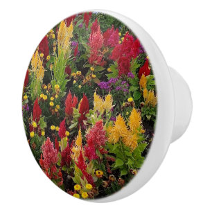 Bouton De Porte En Céramique Jardin de fleurs d'été animé à Orlando en Floride