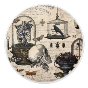 Bouton De Porte En Céramique Jardin vintage moderne de Halloween