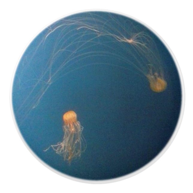Bouton De Porte En Céramique JellyFish Mobilier en céramique (Devant)