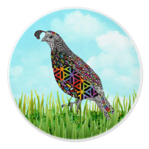 Bouton De Porte En Céramique Joli et coloré Mountain Quail Door Knoor