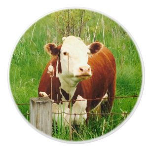 Bouton De Porte En Céramique Jote vache Brown 4Jojo