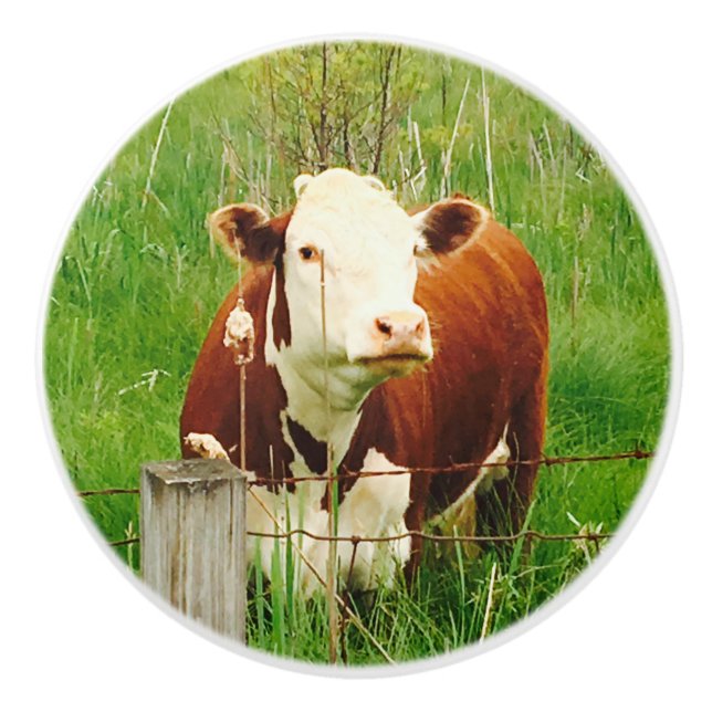Bouton De Porte En Céramique Jote vache Brown 4Jojo (Devant)