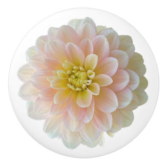 Bouton De Porte En Céramique Jour Dreamer Nénuphar Dahlia